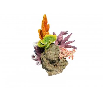 HAQUOSS CORALLO SU ROCCIA 1 - 24x22x23h cm